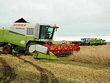 Хамчиев: Механизм обеспечения аграриев удобрениями важно сохранить