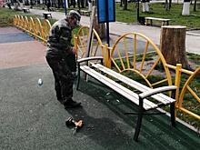 В Шацке восстановили разрушенные вандалами объекты городского парка