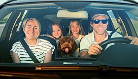 Почему в некоторых семьях рождаются только девочки или мальчики