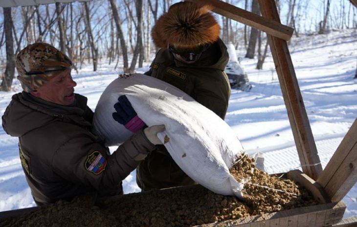 Более 50 тонн кормов для лесных животных выложено в Приморье на новогодние праздники