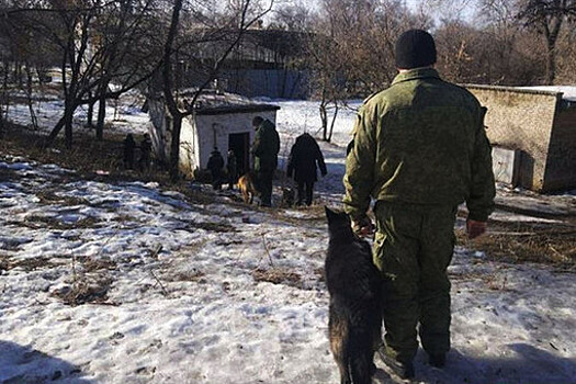 Стало известно о разрушениях в результате взрывов в Донецке