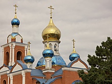 Донская митрополия не имеет отношения к вывозу на свалку икон