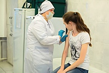 В Челябинской области от укусов клещей пострадали полторы тысячи детей