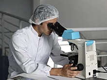 Ученые открыли новое состояние вещества