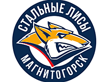 «Стальные Лисы» победили «Спутник», «Омские Ястребы» проиграли «Алтаю»
