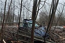 В Калининградской области BMW вылетел в лесополосу из-за выбежавшей косули