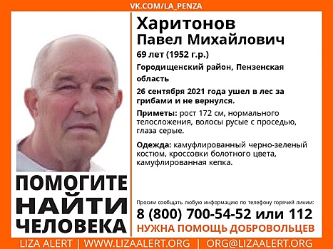 В Городищенском районе ищут 69-летнего мужчину