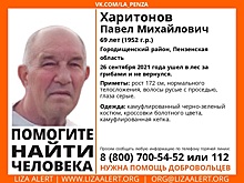 В Городищенском районе ищут 69-летнего мужчину