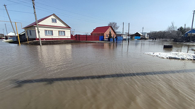 К 8 апреля в Самарской области от последствий паводка избавили 263 дома