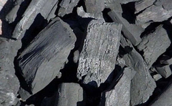 ФТРП направит льготный займ на организацию в Свердловской области современного производства древесного угля и биотоплива