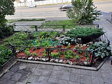 В Челябинске наградили лучших оформителей клумб и благоустроителей прилегающих территорий