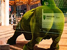 Белизский брокер Тимура Турлова перевел около 30 000 клиентов во Freedom Holding