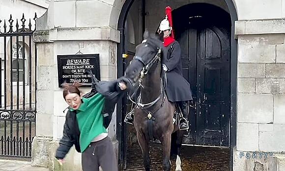 Жеребец королевской гвардии испортил фотосессию и покусал наглую туристку: видео
