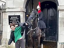 Жеребец королевской гвардии испортил фотосессию и покусал наглую туристку: видео