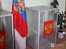 Выборы нижегородского губернатора пройдут дистанционно