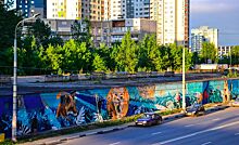 Уличные художники создали в Нижнем Новгороде семь новых работ (ФОТО)