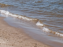 Под Волгоградом в водоеме около питомника растений утонул подросток