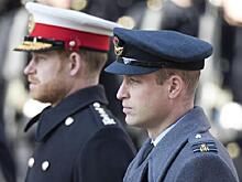 Как принц Уильям хотел помешать браку Гарри с Маркл