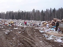 "Мы против свалки!": жители Прикамья подхватили мусорный протест