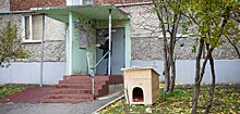 Дом для Черныша: у подъезда многоэтажки в Ижевске установили конуру для бездомного пса