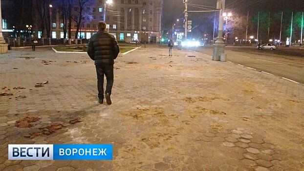 Воронежцы пожаловались на разбитую плитку в центре города