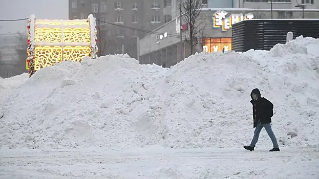 Пик снегопада в Москве и области может прийтись на период с 03:00 до 06:00 мск