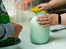 Производство молока в Татарстане выросло почти на 10%