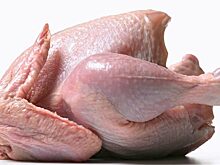 Почему нельзя мыть сырую курицу