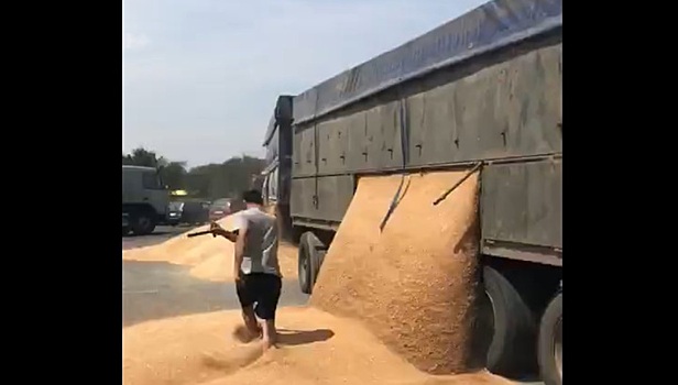 Недовольный водитель разгрузил зерно на трассе под Ростовом назло полицейским. Видео