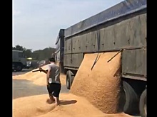 Недовольный водитель разгрузил зерно на трассе под Ростовом назло полицейским. Видео