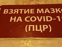 Заболеваемость ковидом в категории 65+ снизилась в Воронежской области