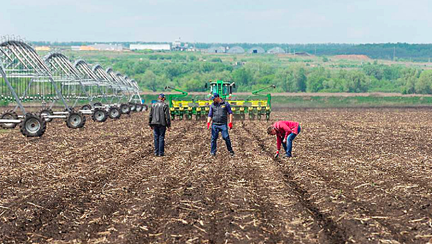 Землевладельцы юга России показали самую высокую прибыль