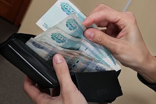 Ремонтник ограбил хозяйку на 250 тысяч рублей в Саратове