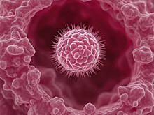 Онкологи обнаружили связь между ВПЧ и раком кожи