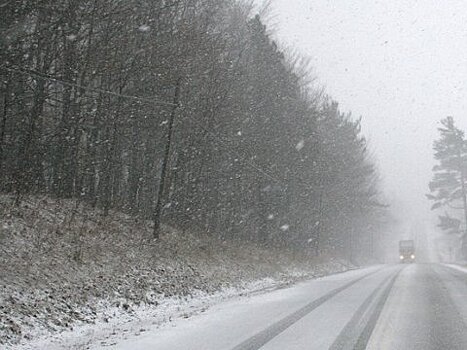 Проезд по трассе к границе с Казахстаном в Саратовской области закрыли из-за снегопада