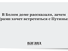 Почему Трамп хочет встретиться с Путиным