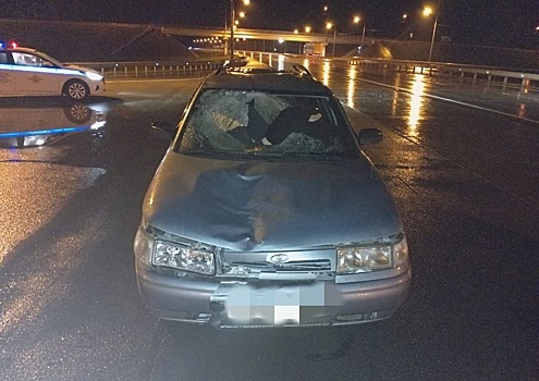 В ДТП на трассе в Коченевском районе НСО погиб пешеход