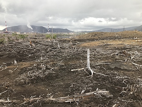 Беспилотники «разглядели» тяжелые металлы в почве