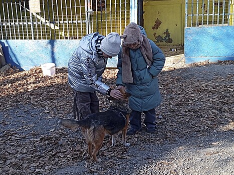 Много подарков и внимания: добрая семейная акция состоялась во Владивостоке