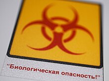 Эвакуированные из Китая на Украину граждане выехали из Харькова