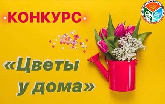 В Свердловском округе начали прием заявок на участие в конкурсе «Цветы у дома»