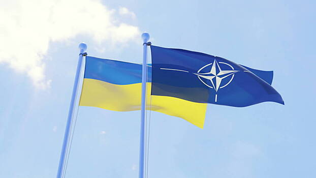 «НАТО не поможет»: Вассерман оценил учения Украины у Крыма