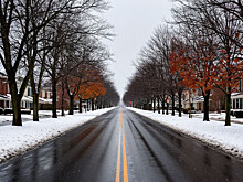 Погода в Новгородской области: мокрый снег и гололедица 17-19 ноября