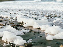 Программа для бизнеса «Лента PRO» начала работать с предпринимателями из Арктической зоны