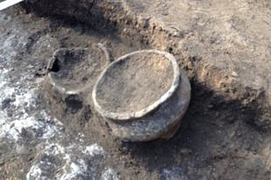 В Бузулукском районе археологи обнаружили 15 погребений бронзового века
