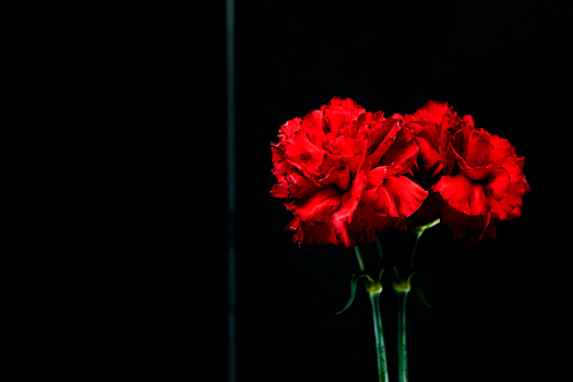 В Удмуртии простились с погибшими при защите Донбасса офицерами и рядовым