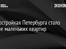 В новостройках Петербурга стало больше маленьких квартир