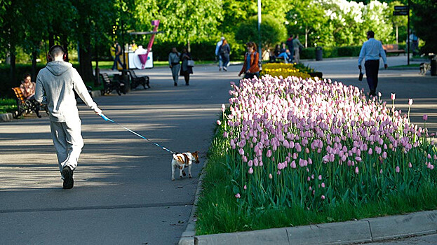 Ко Дню города в Москве появится 128 новых парков