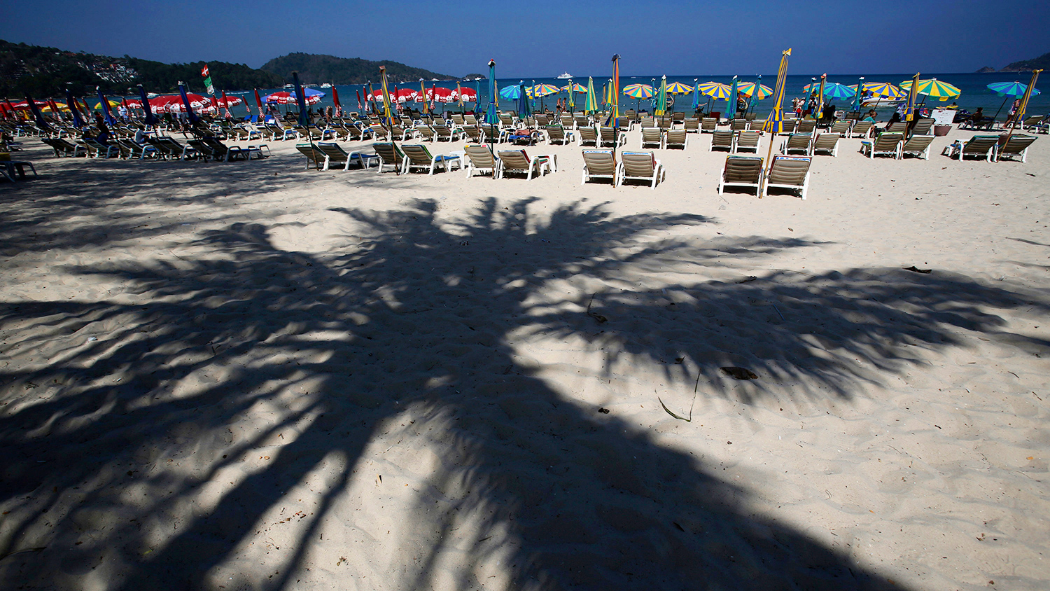 Россиянина и двух тайцев задержали на Пхукете по подозрению в наркоторговле