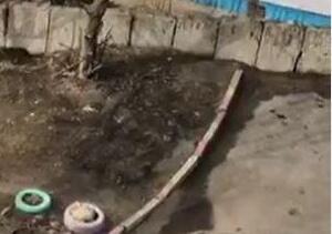 На видео показали, что сделали на Чуркине, узнав, что к ним едет мэр Владивостока